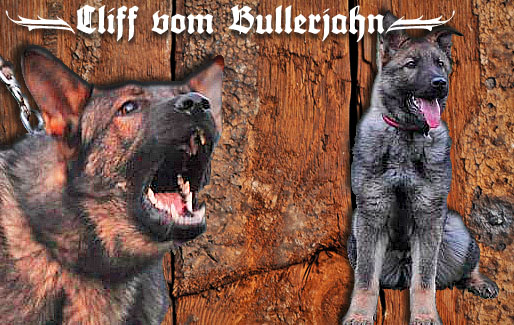 Cliff vom Bullerjahn